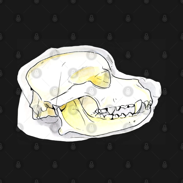 Rottweiler dog head bone by jessicaguarnido