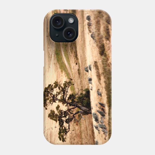 Australian Grassland Landscape Phone Case by jwwallace