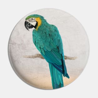 Graffiti Macaw Pin