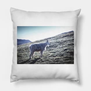 Mountain Goat 3 Pillow