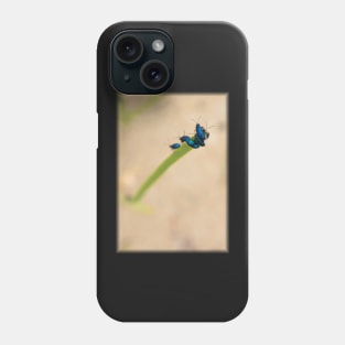 Beach Bugs Phone Case