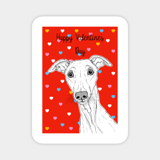 Whippet Valentine's Day Greeting Magnet