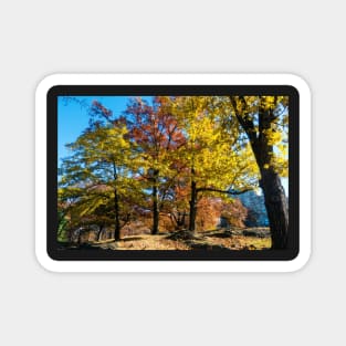 Central park in the fall Magnet