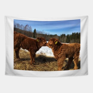 Scottish Highland Cattle Calves 1729 Tapestry