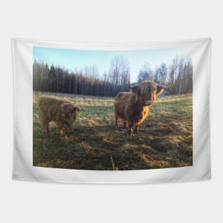 Scottish Highland Cattle Cow and Calf 1848 Tapestry