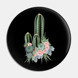 Succulents plants and pink roses Pin