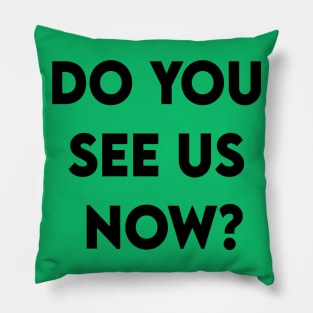 Do You See Us Now 2020 Pillow