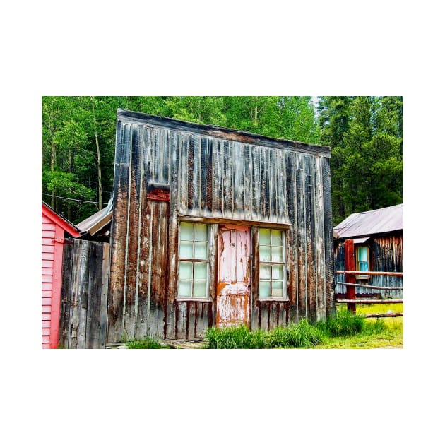 Colorado Ghost Town Cabin with the Pink Door by Scubagirlamy