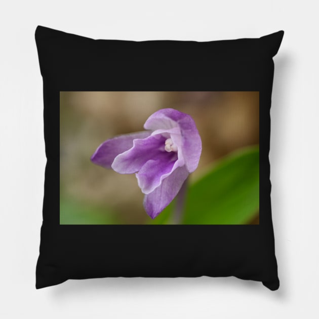 Roscoea alpina Pillow by chrisburrows