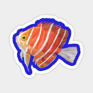 Watercolor Striped Angelfish Magnet