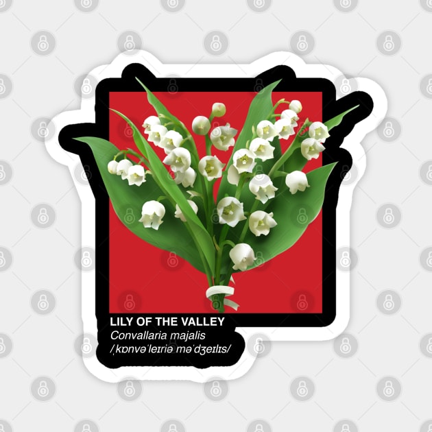 Lily Of The Valley - Plants Botanical Info Magnet by isstgeschichte