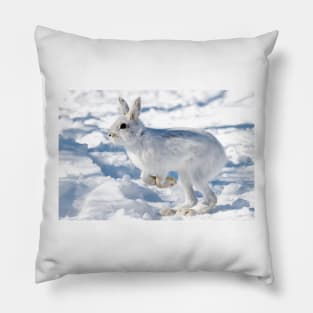 Kangaroo Rabbit - Snowshoe Hare Pillow