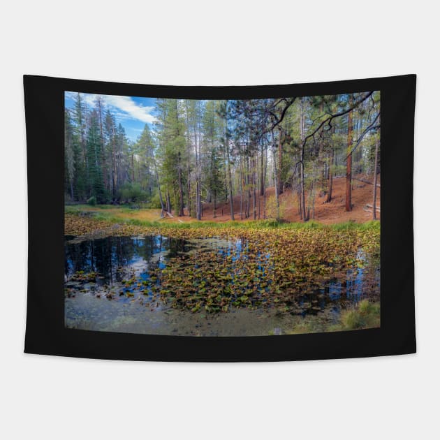 Lily Pond Tapestry by algill