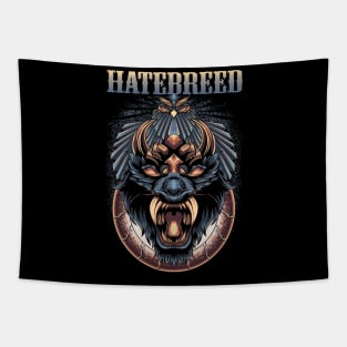 JAMEY JASTA BAND Tapestry