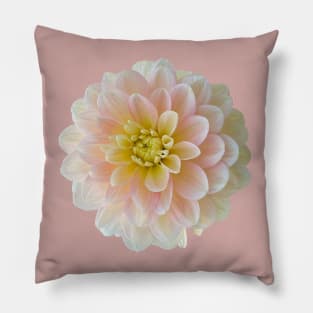 Dahlia Day Dreamer Flower Pillow