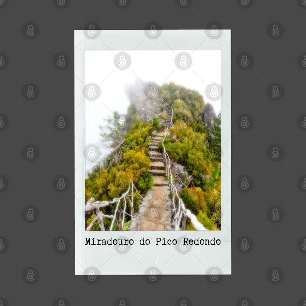 Polaroid Photo of a viewpoint on Madeira by nancy.hajjar@yahoo.com