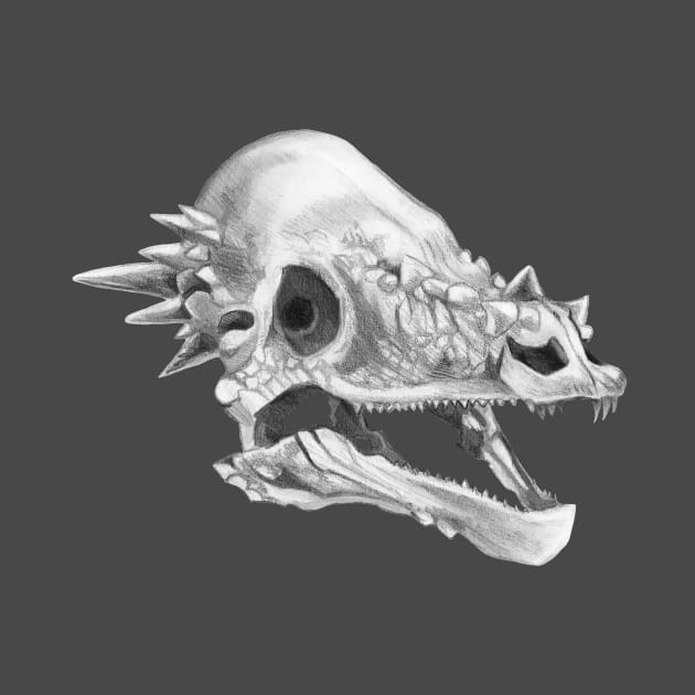 Pachycephalosaurus skull by Ashdoun