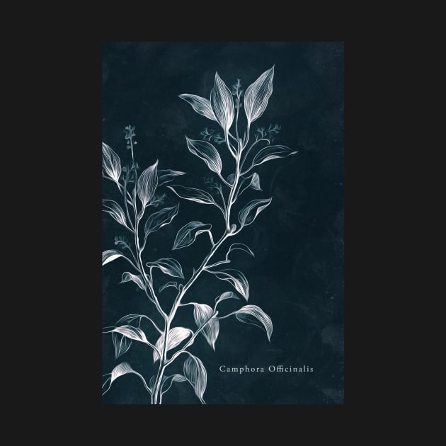 Cyanotype - Camphora Officinalis - C by PixelHunter