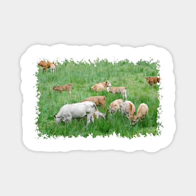 Love Cows Magnet by DeVerviers