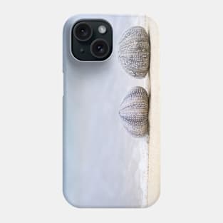 Sea Urchin Shell Phone Case