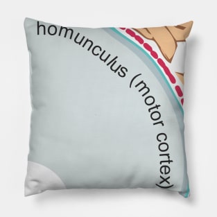 Homunculus (motor cortex) Pillow