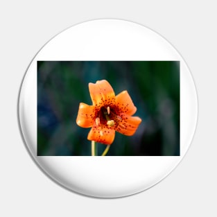 Tiger Lily Pin