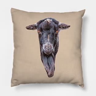 Goat Pillow