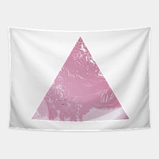 Reflected Pink Tapestry