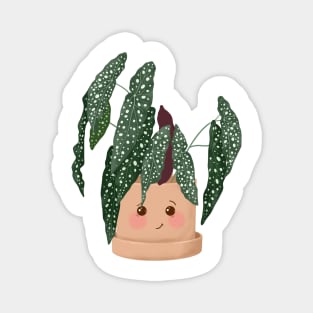 Cute Begonia plant Magnet