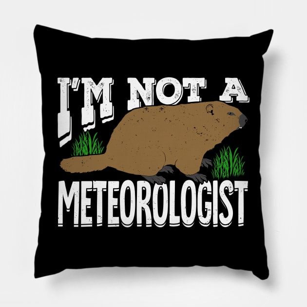 Groundhog Woodchuck Meteorology Meteorologist Gift Pillow by Dolde08