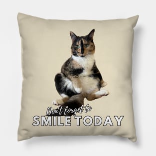 Snickers The Cat - Don't Forget to Smile Today Pillow