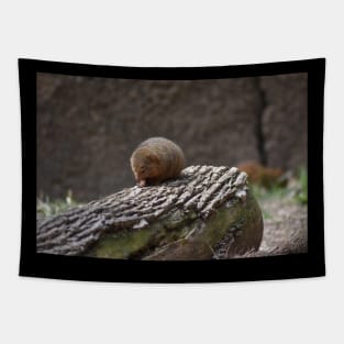 Mongoose Tapestry