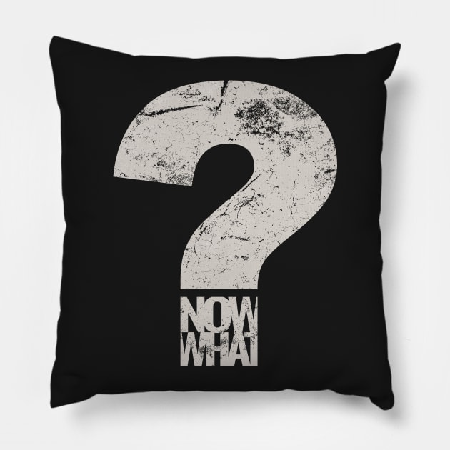 now what Pillow by directdesign