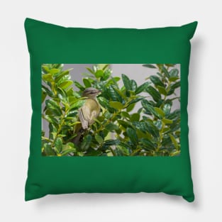 Red Eyed Vireo in the Holly by Debra Martz Pillow