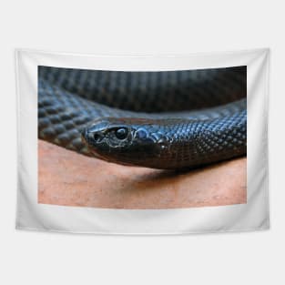 Inland Taipan Tapestry