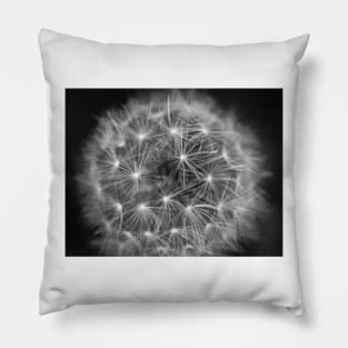 Dandelion Pillow