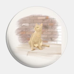 保护猫神 protect cat god Pin