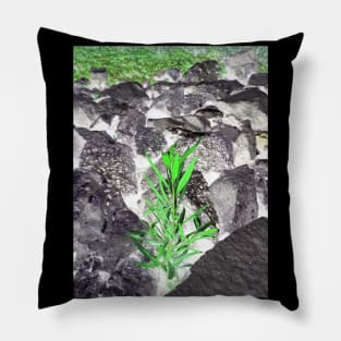 green light ornament Pillow