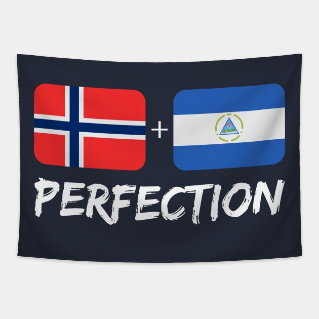 Nicaraguan Plus Norwegian Perfection Mix Heritage Flag Gift Tapestry by Just Rep It!!