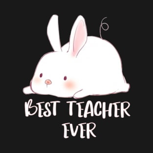 Some Bunny Loves Teaching T-Shirt