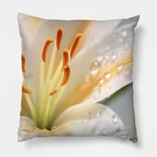 Lilium Flower Petal Nature Serene Calm Pillow