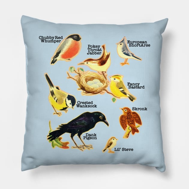 Funny Birds Of The World Names Pillow by DankFutura