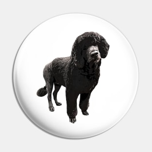 Portugese Water Dog Pin