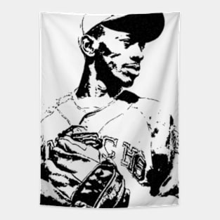 Satchel Paige Vector Tapestry