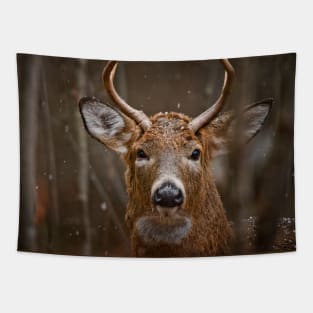 White-tailed Deer Tapestry