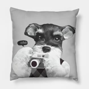 Schnauzer with Camera Pillow