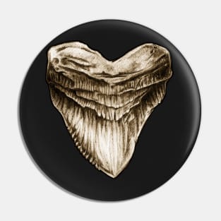 Megalodon Tooth Fossil Pin