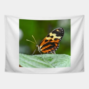 Orange and Yellow Butterfly Tapestry