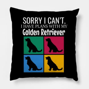 Sorry I can't I have plans with my golden retriever Pillow