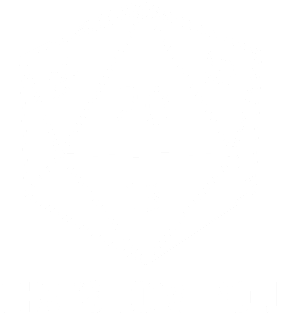 D20 Dice - That's how I roll Magnet